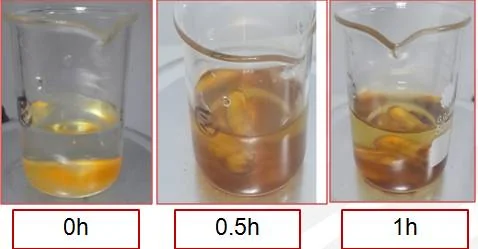 Phosphor material aging test in beaker at 0h, 0.5h and 1 hour